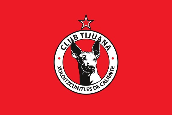 Mẫu logo câu lạc bộ đẹp